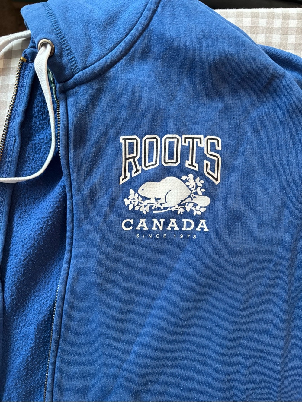 Roots Men’s Zip-up Hoodie